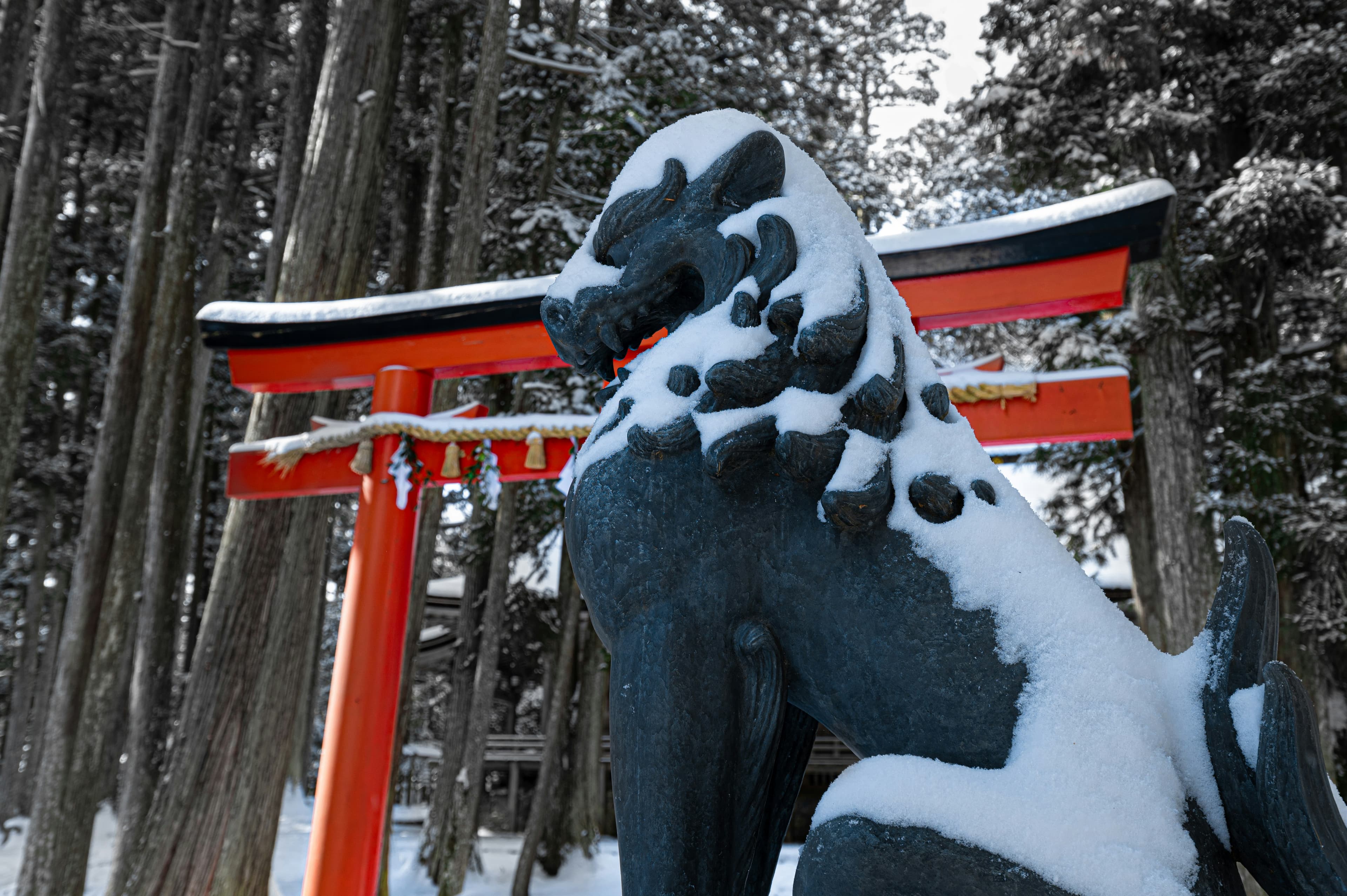 冬の静けさを思わせる風景